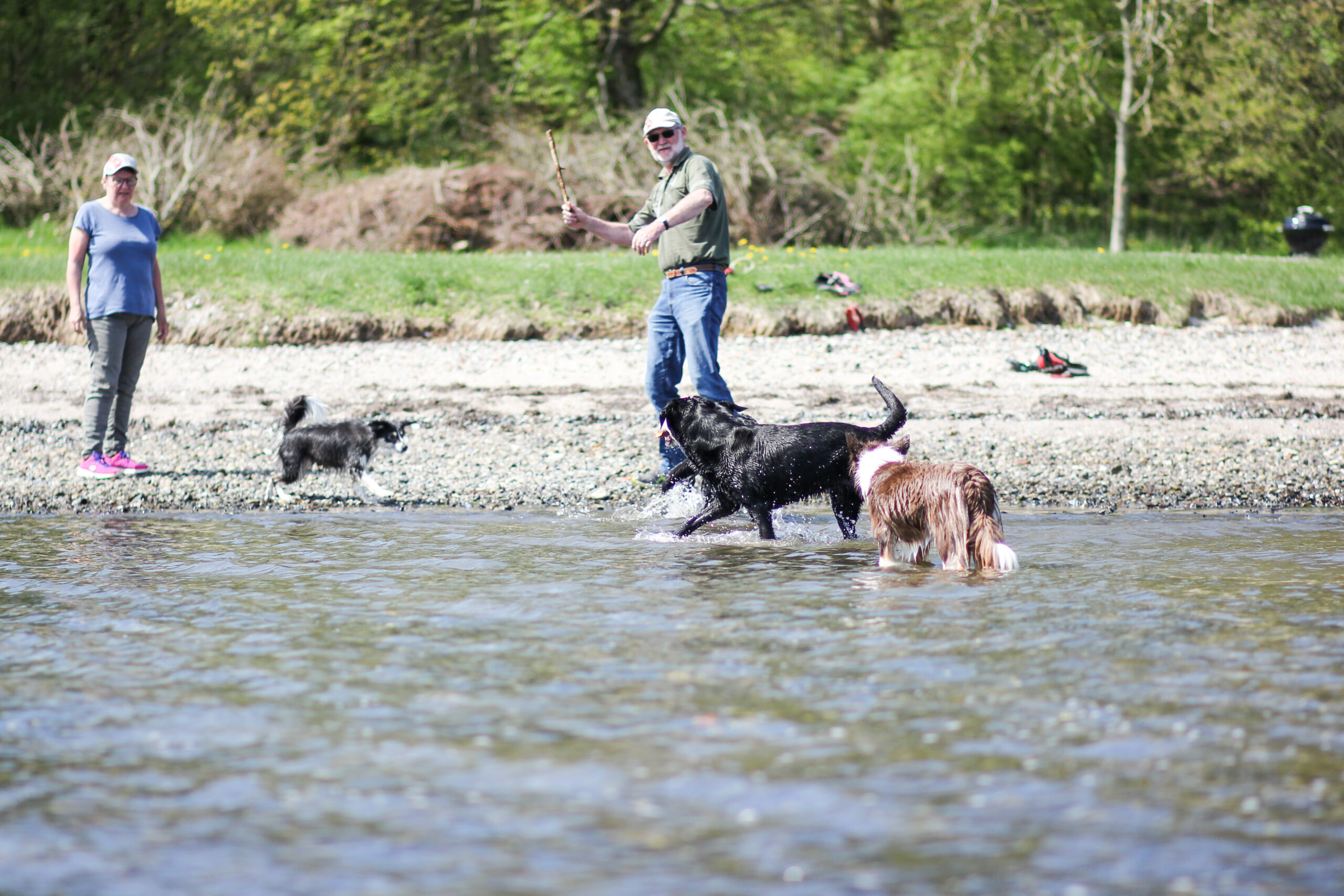 Ophold med hund | Strand, skov og ture Skive Camping